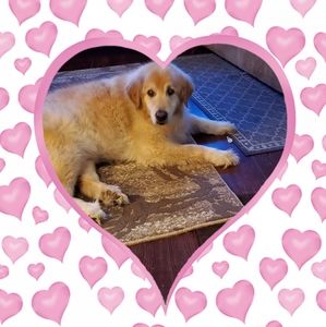 Meet your Posher, Tanya